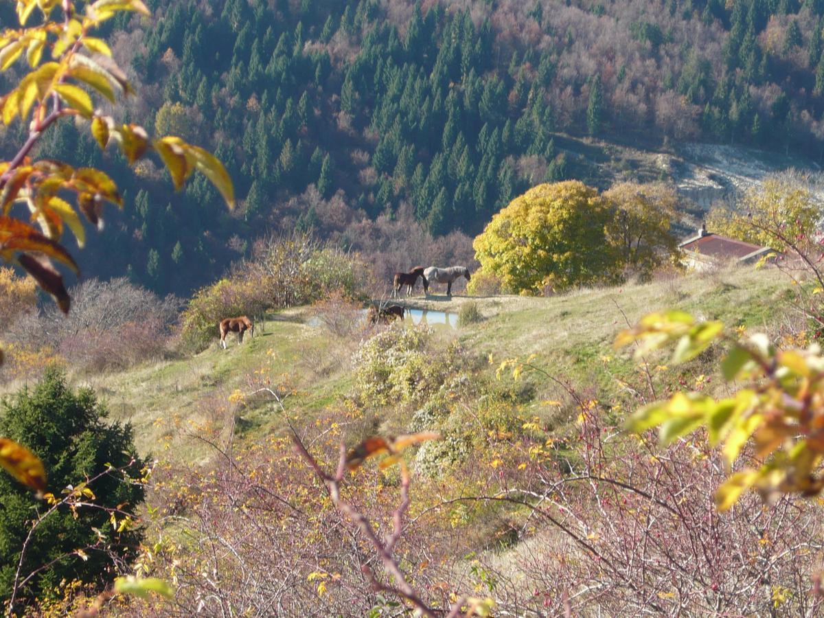 Hotel Belvedere Roana Dış mekan fotoğraf