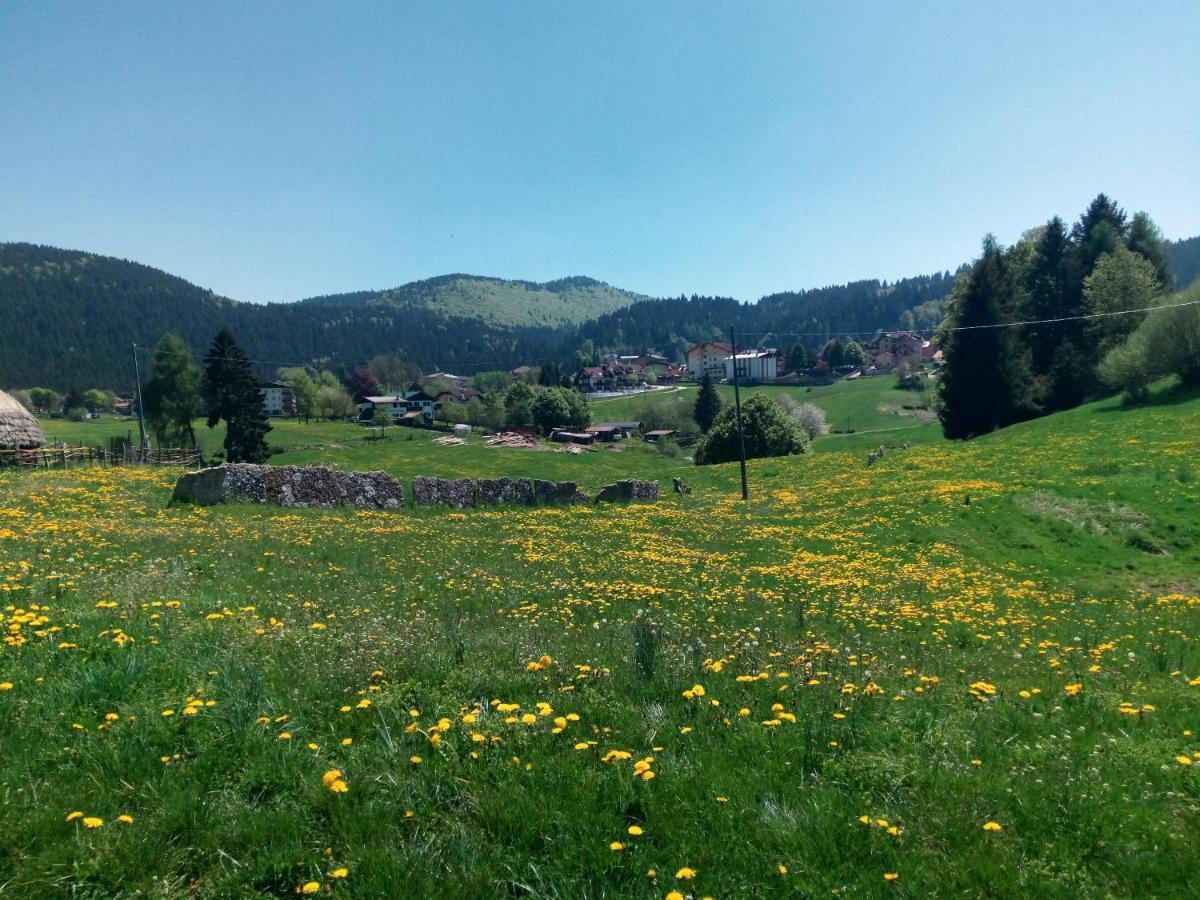 Hotel Belvedere Roana Dış mekan fotoğraf